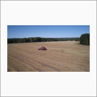 The Institute’s experimental fields in the village of Yelbashi, Cherepanovsky District, Novosibirsk Region
