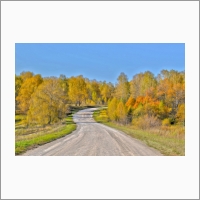 Лесная дорога у р. Коен. Фото С.В. Алексеенко.