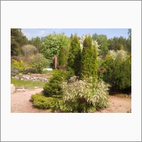 Central Siberian Botanical Garden of SB RAS